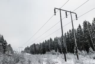 Frost collapsed power lines in the Murmansk region: thousands of homes were left without light and heat