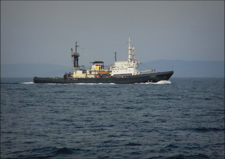 The crew of the Russian tugboat "Alatau" rescued a sailor after two days adrift in the South China Sea