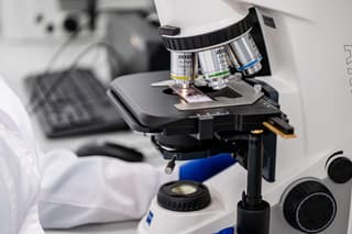 Will Help Restore the Human Spinal Cord: A New Bio-Scaffold Created at the Sirius University
