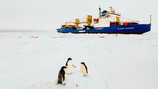 Diesel-electric vessel "Vasiliy Golovnin" delivered cargo to the Bharati station in the challenging ice conditions of Antarctica
