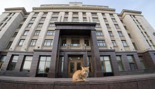The Bank of Russia published a strange two-letter message ahead of the key rate meeting