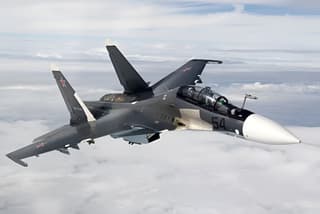 "Shooting sparrows with a cannon": Su-30 and Su-27 deemed ineffective against drones