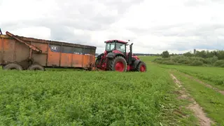 «Адреналин зашкаливает»: механизатор села за руль 500-сильного BELARUS 5425 и оценила мощь нового гиганта