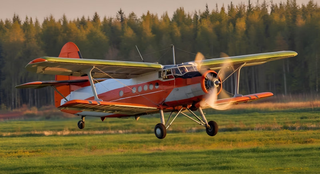 "Nothing to fly on": An-2 import substitution failure disrupts launch of regional air routes