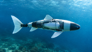 MIPT scientists invented an underwater robot that can swim like a fish