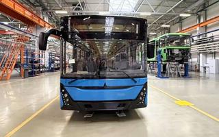 MAZ sent 15 out of 40 buses to Vladivostok: models 206 and 303