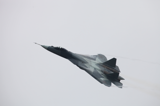 Американский пилот дал прогноз судьбе Су-57 в Индии