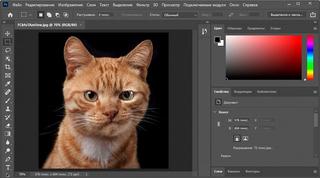 Adobe prorroga gratuitamente las licencias individuales a los usuarios rusos de su software, pero no se pueden comprar nuevas licencias