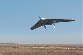 Черноморский флот может получить на вооружение новейший дрон самолетного типа «Сарыч-2»