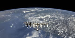 Мыши и мухи-дрозофилы отправятся в космос на борту спутника «Бион-М2»