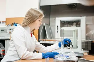 Científicos rusos crean cerámica ultrarresistente utilizando la cáscara de una fruta exótica