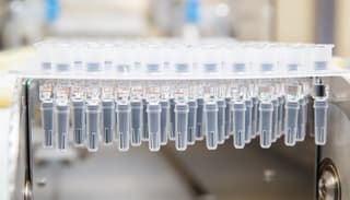 Casi 70 millones de dosis de vacunas nacionales contra la gripe enviadas a regiones rusas