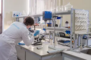 Biodegradables y ecológicos: en Rusia han desarrollado biopolímeros a base de materias primas vegetales