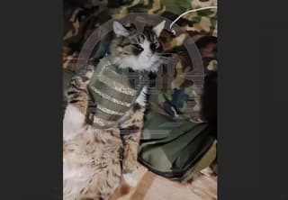 Los soldados de asalto rusos recibieron nuevos kits "Strelok", y sus animales, chalecos antibalas "Obereg"