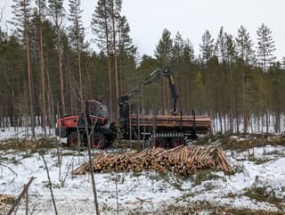 Two new models of KamAZ logging equipment started testing in Karelia