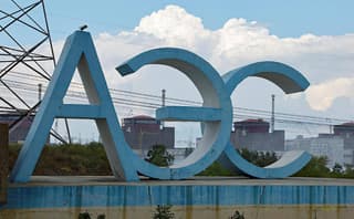 "El personal está listo para responder": lo que se sabe sobre los cortes en las centrales nucleares de Zaporozhye y Kursk