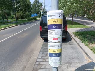 "Será más cómodo para los que viven a lo grande": un experto en automóviles opinó sobre el estacionamiento con tarifa dinámica en Moscú