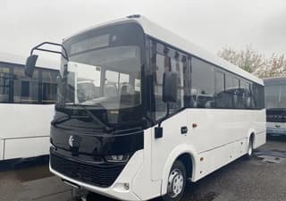 Новые автобусы КАМАЗ-4280 Vega поступили к дилеру в Москве