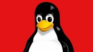 Despojan a los desarrolladores rusos del kernel de Linux de sus puestos de liderazgo debido a las sanciones