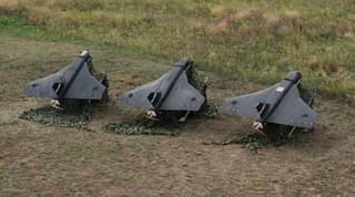 Эксперт объяснил неспособность дронов «Гербера» имитировать крылатые ракеты Х-101 и Х-69