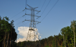 En Rusia utilizaron algoritmos de comportamiento animal en la naturaleza para resolver problemas de energía