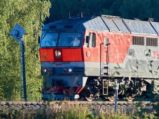 Обновлённые правила перевозки животных в поездах России вступили в силу с 1 января 2025 года