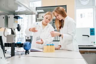 Científicos de la Universidad Politécnica de Tomsk (TPU) desarrollan un fármaco eficaz para combatir el virus de la viruela del ciruelo en albaricoques