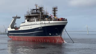 Russia to start producing turn-key fish processing plants