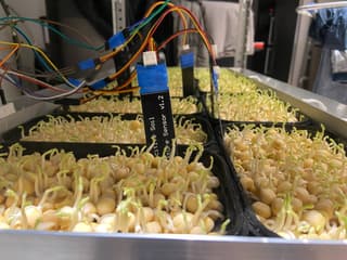 Científicos de RTU MIREA desarrollan un sistema modular de "granja inteligente" con IA