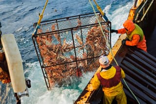 КМЗ оснастит промысловые суда мощными палубными кранами для краболовов