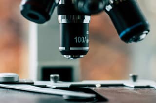 Avance en la medicina: una nueva tecnología para obtener ferritas mejorará el diagnóstico por resonancia magnética