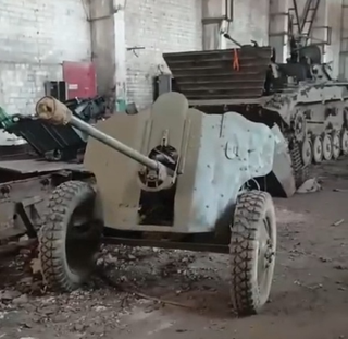 Kulikins Installed an Autocannon from a BMP-2 on a D-44 Gun Carriage: Footage of a Military "Frankenstein"