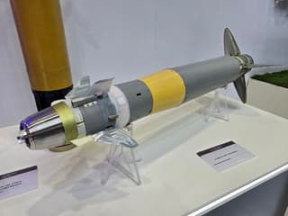 Eficaces contra objetivos que cambian de ubicación: Rostec presentó los drones kamikaze "Kub-2E" en los EAU