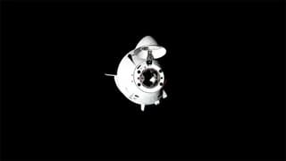 Корабль Crew Dragon с космонавтом Кириллом Песковым на борту пристыковался к МКС