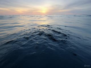 Problema no resuelta: la contaminación por fuel oil podría extenderse en el Mar Negro a finales de abril
