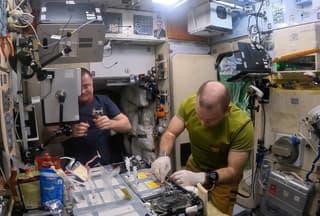 Experimento "Neuroinmunidad": el cosmonauta Wagner muestra cómo recolectar sangre venosa en condiciones de ingravidez