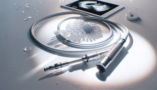 LOMO Registered Software for Video Endoscopes Used in Military Medicine