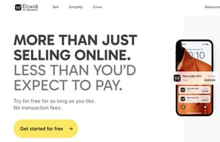 Scared of Sanctions: Russian-Founded Online Store Builder Ecwid Leaving Russia