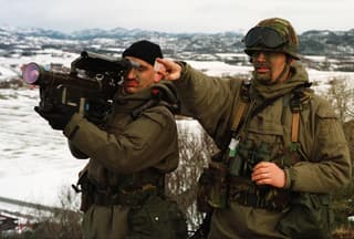 Se revela por qué el MANPADS estadounidense Stinger no puede interceptar la munición rusa D-30SN
