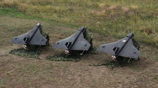 "Geranio" parecerá una florecita: los drones kamikaze "Gerbera" reciben por primera vez un sistema de guía óptico