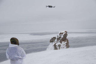Bears in the Black: Drone Thermal Cameras Record Record Number of Polar Bear Dens