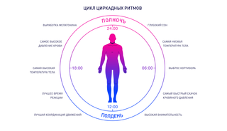 One Step Closer to Healthy Sleep: World's First Chronobiotics Database Created by Russian Scientists