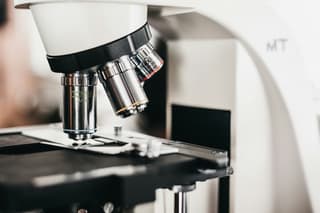 Accelerating the Use of Two-Dimensional Materials in Nanomedicine: New Achievements by Russian Scientists from MIPT
