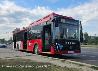 Transition to LiAZ-5299 buses in Perm led to disruptions in the transport system