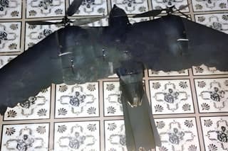 Russian military disguises reconnaissance drones as birds for the first time: unique footage