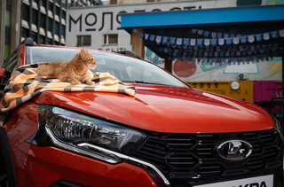Рыжий кот стал неожиданной звездой рекламной кампании Lada Iskra