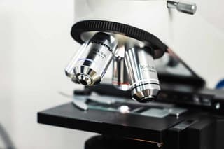 Physicists from Skoltech and Moscow State University Discover a Light-Focusing Structure in Algae Shells