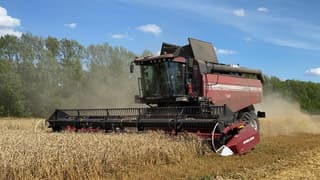 Will Oust American John Deere and Italian New Holland from the Belarusian Market: Gomselmash Increased Production of GS2124 Combines