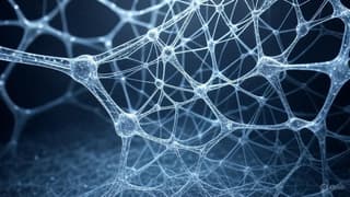 Desarrollado en la TSU un método universal que simplifica la producción de implantes para la medicina regenerativa