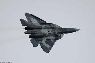 The Economic Times: Индия рассматривает закупку истребителей Су-57 России и F-35 США